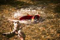Adams River Sockeye Run 2010, British Columbia, Canada CM11-012
