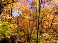 Agawa Canyon, Ontario, Canada 16
