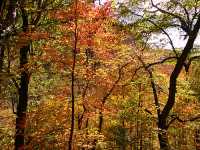 Agawa Canyon, Ontario, Canada 14
