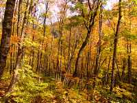 Agawa Canyon, Ontario, Canada 13