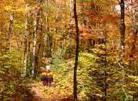 Agawa Canyon, Ontario, Canada 17 