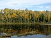 Agawa Canyon Train Tour, Ontario, Canada 03