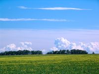 Alberta Prairies, Canada 15