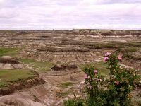 Drumheller, Dinosaur Capital, Alberta, Canada 10