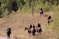 Trailride, Southwest Alberta CM11-22
