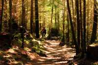Alice Lake Provincial Park, Squamish, British Columbia, Canada CMX-001