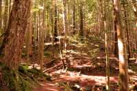 Alice Lake Provincial Park, Squamish, British Columbia, Canada CMX-002