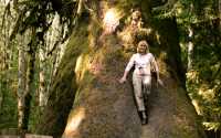 Big Spruce, Port Renfrew Region, Vancouver Island CM11-02