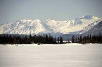 Atlin, Northern British Columbia, CM11-07