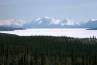 Road to Atlin, Northern British Columbia, CM11-20