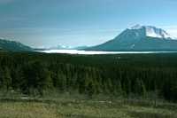 Road to Atlin, Northern British Columbia, CM11-21