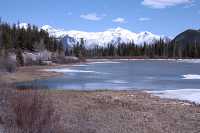 Scenery around town of Banff, May 2011, Banff National Park, Alberta, Canada CM11-013