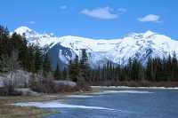 Scenery around town of Banff, May 2011, Banff National Park, Alberta, Canada CM11-014