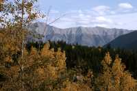 Banff National Park, Alberta, Canada CM11-32
