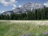 Cascade Mountain, Banff National Park, Alberta, Canada CM11-01