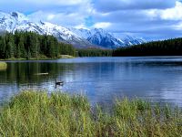 Johnson Lake, Banff National Park, Alberta, Canada 15