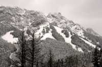 Mount Norquay, Banff National Park, Alberta, Canada CM11-47