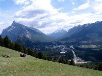 Mt Norquay Views, Banff National Park, Alberta, Canada  19