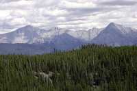 Banff National Park, 2011, Alberta, Canada CM11-004