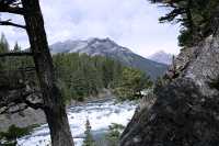 Bow River, Banff National Park, 2011, Alberta, Canada CM11-015