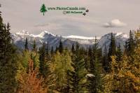 Highlight for Album: Banff National Park , Fall 2010 Photos, Alberta, Canadian National Parks Stock Photos
