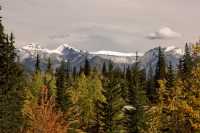 Banff National Park, Fall 2010, Alberta, Canada CM11-008