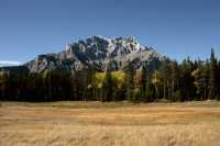 Banff National Park, Fall 2010, Alberta, Canada CM11-015