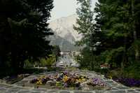 Banff National Park, Alberta, Canada CM11-03