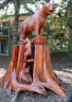 Pete Ryan Carving, Town of Banff, Alberta, Canada CMX-006