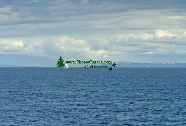 BC Ferry, Horseshoe Bay To Nanaimo Route,  British Columbia Stock Photos CM11-06