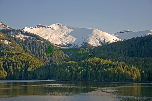 Port city ford prince rupert bc