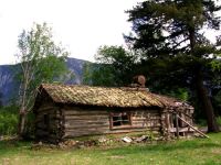Bella Coola, Abandoned Homestead, British Columbia, Canada 05