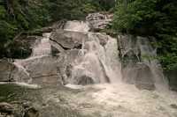 Bella Coola, Clayton Falls, British Columbia, Canada CM11-001