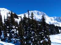 Blackcomb, British Columbia, Canada 21