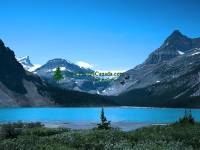 Highlight for Album: Bow Lake Photos, Jasper National Park of Canada, Alberta, Canada, Icefields Parkway Photos, Canadian Rockies, Canadian National Parks Stock Photos
