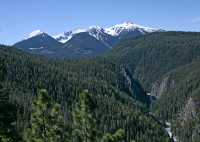 Bralorne Region, Cadwallader Creek, British Columbia CM11-006