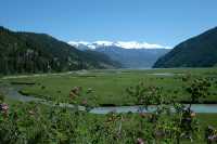 Carpenter Lake, Gold Bridge, British Columbia CM11-001