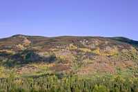 Bulkley Valley, British Columbia, Canada CM11-004