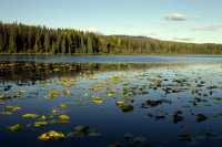 Bulkley Valley, British Columbia, Canada CM11-005