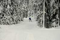 Callaghan Valley, Cross Country Skiing, Whistler, British Columbia, Canada, CM11-07