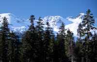 Callaghan Valley, British Columbia, Canada, CM11-15 