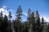 Callaghan Valley, British Columbia, Canada, CM11-14