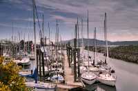 Campbell River, Marina,Vancouver Island, British Columbia, Canada CM11-20