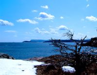 Cape Breton Coastline, Cape Breton Highlands National Park, Nova Scotia, Canada  08