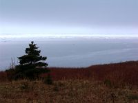 Highlands Plateau, Cape Breton Highlands National Park, Nova Scotia, Canada  03