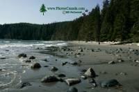 Highlight for Album: China Beach, Vancouver Island, British Columbia Stock Photos