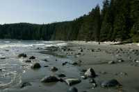 China Beach, Strait of Juan de Fuca, Vancouver Island CM11-002