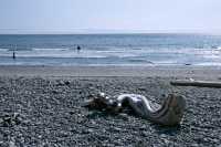 China Beach, Strait of Juan de Fuca, Vancouver Island CM11-003
