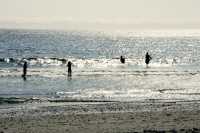 China Beach, Strait of Juan de Fuca, Vancouver Island CM11-006