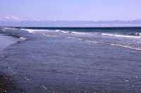 China Beach, Strait of Juan de Fuca, Vancouver Island CM11-008